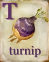 T is for Turnip