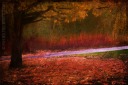UK England painterly painting red leaves autumn fall digital art Birmingham Cannon Hill Park