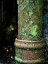 rust peeling paint abandoned derelict green pipes metal