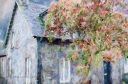 Luss Village, stone cottage, Argyll and Bute, painting, painterly, pink