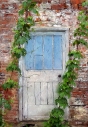 door doorway old overgrown vines painting painterly digital art