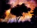A dramatic digital painting of a tree at dusk.